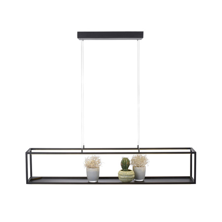 CONTURA LAMPA WISZĄCA CZARNY (2441-18) - Paul Neuhaus