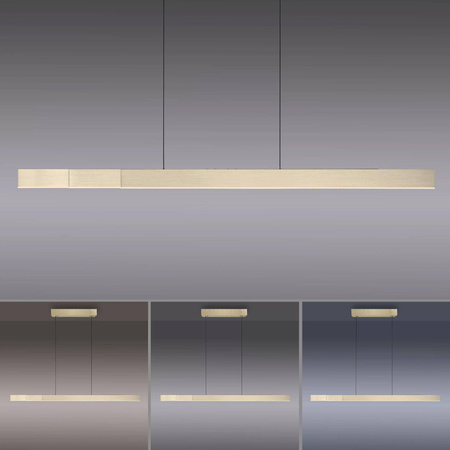 Lampa z płynną regulacją wysokości i szerokości PURE-MOTO-ZŁOTY (2545-60) - Paul Neuhaus