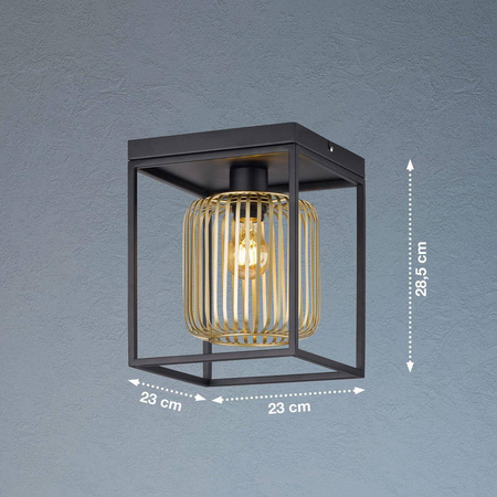 Lampa Sufitowa Caydo  (21294) - Fischer&Honsel