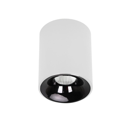 Oprawa natynkowa Tom biała LED CCT (LP-4848/1RM WH) - Light Prestige
