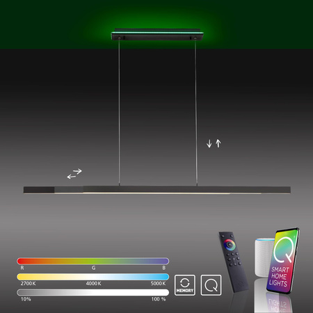 Q-ARIAN LAMPA WISZĄCA ANTRACYT (2569-13) - Paul Neuhaus