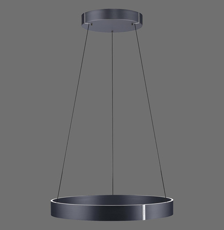 Lampa wisząca z płynną regulacją wysokości PURE E-CLIPSE SZARY (2561-15) - Paul Neuhaus