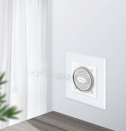 WBS-64 Moduł srebrny głośnika bluetooth Livolo