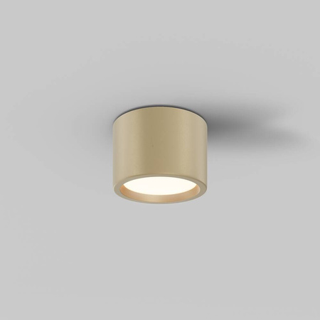 Lampa sufitowa Hydra (C090CL-10W3K-MG) - Maytoni