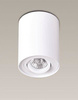 Lampa sufitowa BASIC ROUND (C0067) - Maxlight