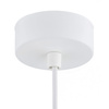 Lampa wisząca 1 pł. ETNA PLUS (8066) - Argon