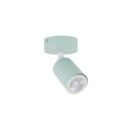 Lampa sufitowa LIVIA MINT 1(10220) - TK Lighting