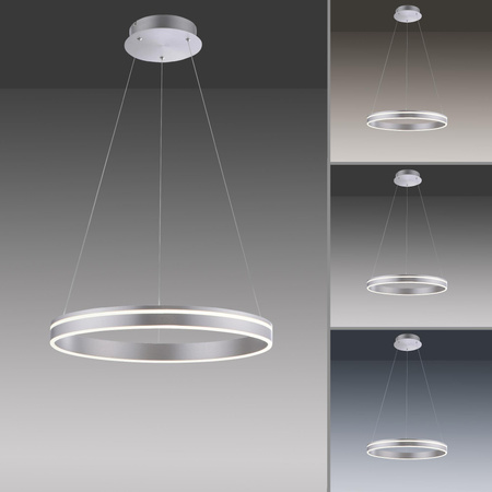 Q-VITO LAMPA WISZĄCA STALOWY (8411-55) - Paul Neuhaus