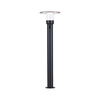 Oprawa ogrodowa SIENNA LED PIR IHF 9W 400lm 3000K 780mm IP44 230V antracyt aluminium (PL94835) - PAULMANN