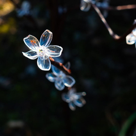 Lampa Solarna Tree 120cm RGB+3000K IP44 (EKO1448) - Eko-Light