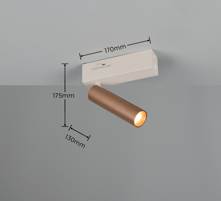 Lampa sufitowa z reflektorami AMBALA (849210165) - Trio