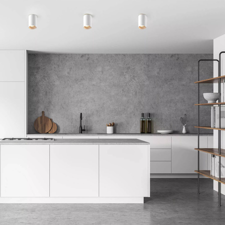 92679-N TUBA SPOT - Zuma Line