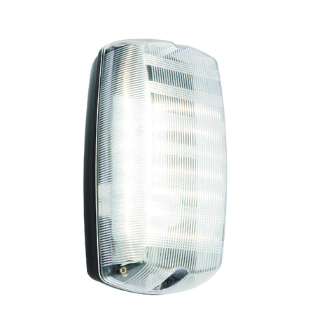 Kinkiet Avit 10W IP65 10W (91238) - Saxby