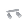 LIVIA GRAY LAMPA SUFITOWA 2 (10241) - TK Lighting