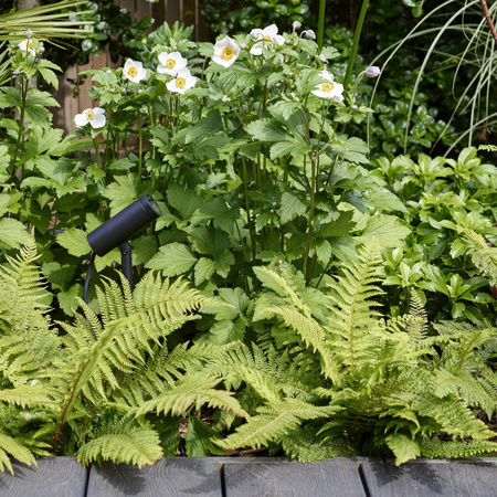 Reflektor Myos Czarny (1426002) - Astro Lighting