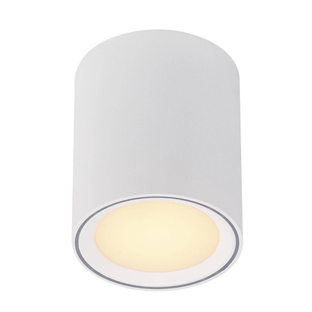 Oprawa natynkowa FALLON Nordlux LED  Metal Biały