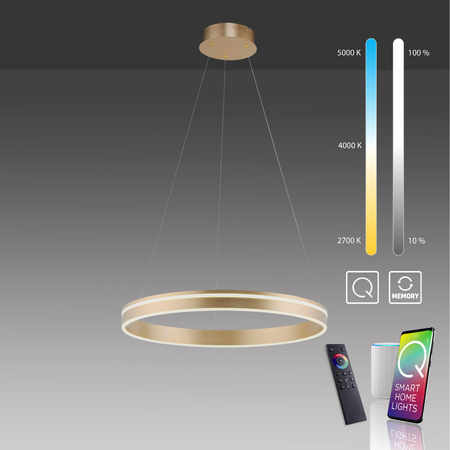 Q-VITO LAMPA WISZĄCA MOSIĄDZ (8411-60) - Paul Neuhaus