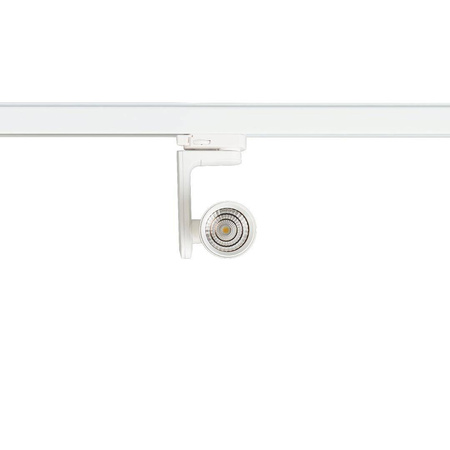 Reflektor Timor 10W 2700/4000K Biały 3 Obwodowy (ML1114) - Milagro