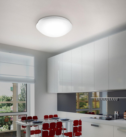 ANDREA-LED LAMPA SUFITOWA BIAŁY (14243-16) - Paul Neuhaus