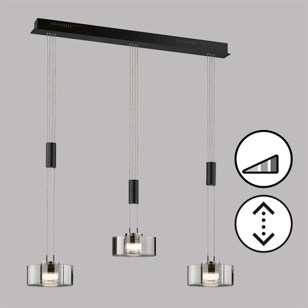 Regulowana lampa wisząca Lavin  (61096) - Fischer&Honsel
