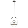 Lampa wisząca Somerset - 1 źródło światła - Przezroczyste szkło - Czarna (QN-SOMERSET-P-C-BK) - Quintiesse