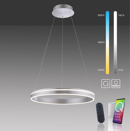 Q-VITO LAMPA WISZĄCA STALOWY (8411-55) - Paul Neuhaus