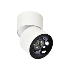Ruchoma oprawa natynkowa Brema biała LED CCT (LP-2626/1RM WH movable) - Light Prestige
