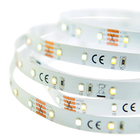 Taśma LED Flexline 12V 5m kit CCT 24W (73666) - Saxby