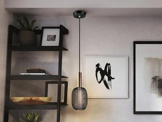 Micron lampa wisząca 1L (413510) - Schuller