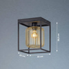 Lampa Sufitowa Caydo  (21294) - Fischer&Honsel
