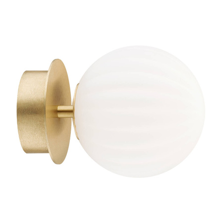 Kinkiet / plafon PALOMA (8504-ARG) - Argon