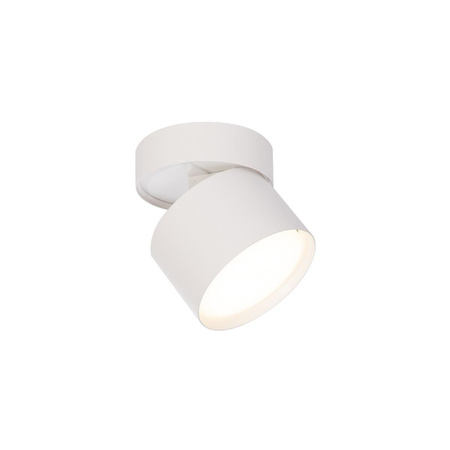 Kendal oprawa natynkowa biała z regulacją kąta świecenia (LP-6331/1SM WH movable) - Light Prestige