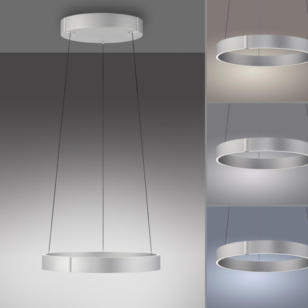 PURE E-CLIPSE LAMPA WISZĄCA ALUMINIUM (2560-95) - Paul Neuhaus