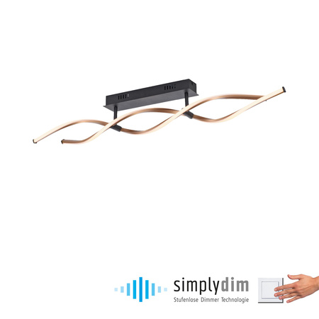 POLINA LAMPA SUFITOWA CZARNY/ZŁOTY (9143-18) - Paul Neuhaus