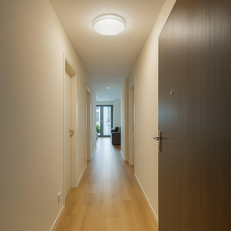 Plafon CLASSIC 3xE27 (ML1829) - Milagro