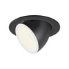 NUMINOS® GIMBLE L, oprawa sufitowa wpuszczana czarna/biała 3000 K 20° (1005994) - SLV