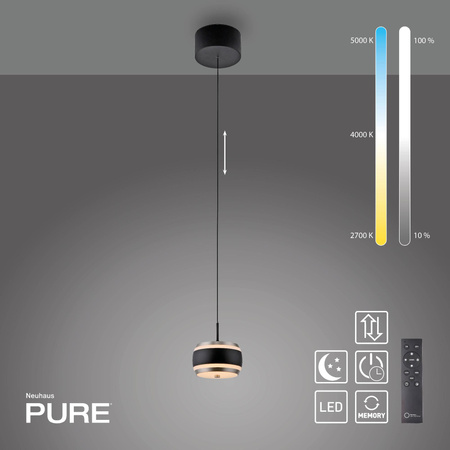 PURE FALLING RINGS LAMPA WISZĄCA CZARNA (2503-18) - Paul Neuhaus