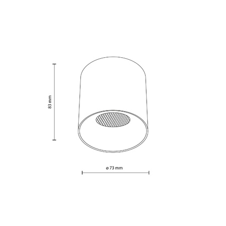 Lampa przysufitowa BLAZE WHITE CCT 12W (18157) - TK Lighting
