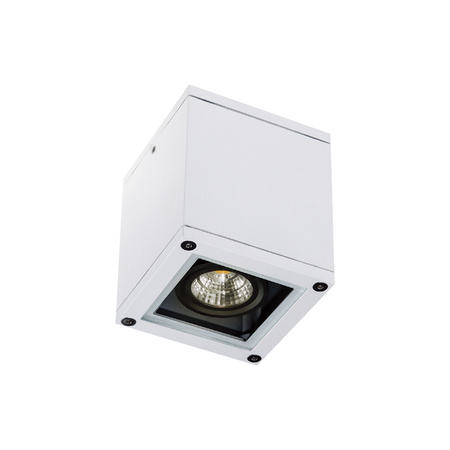 OUTDOOR CEILING LIGHTS 1XGU10 WHITE (E270 Zambelis) - Zambelis