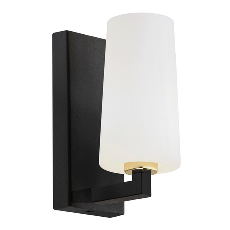 Kinkiet 1 pł. CAMELOT PLUS (8056) - Argon