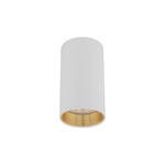 Lampa przysufitowa w kształcie tuby AMIS WHITE DOWNLIGHT (10719) - TK Lighting