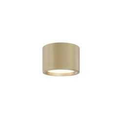Lampa sufitowa Hydra (C090CL-10W3K-MG) - Maytoni