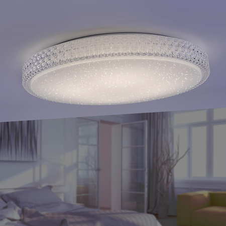 FRIDA LAMPA SUFITOWA TRANSPARENTNY (14372-00) - Paul Neuhaus