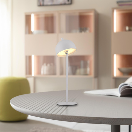 BELLIS LAMPA STOŁOWA BIAŁA (19244-16) - Paul Neuhaus