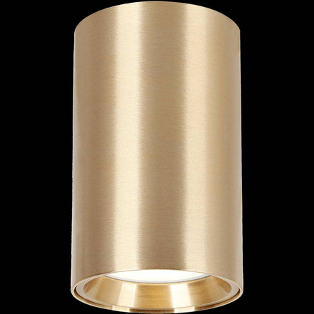 GENESIS SPOT GOLD 1xGU10 10cm (ML0383) - Milagro