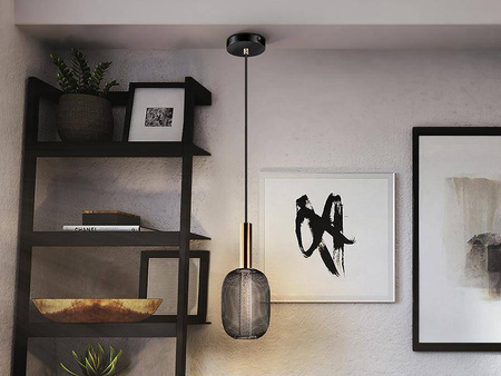 Micron lampa wisząca 1L (413510) - Schuller