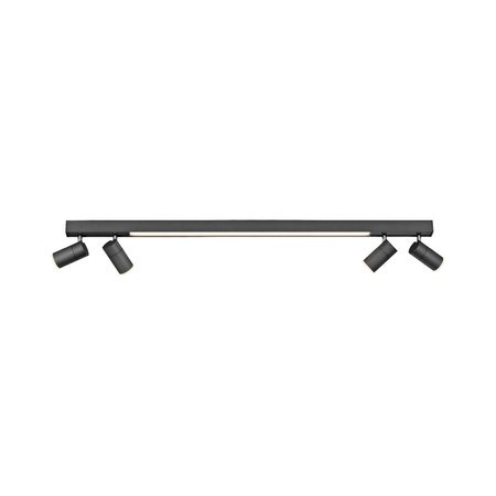 Lampa sufitowa PURE-LINES (6121-13) - Paul Neuhaus