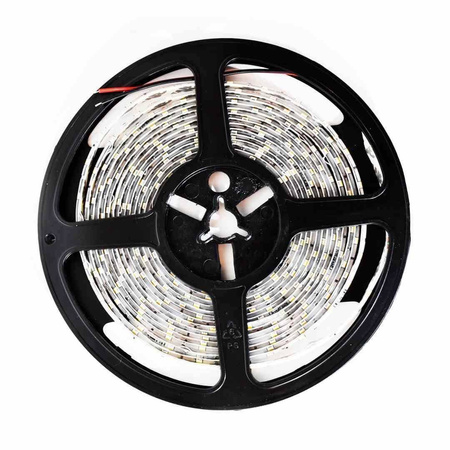 Taśma Pro 60 LED 24W 3000K IP65 5m (ML4752) - Milagro
