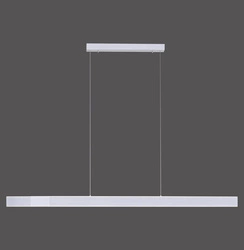 PURE LUME LAMPA WISZĄCA ALUMINIUM (2738-95) - Paul Neuhaus