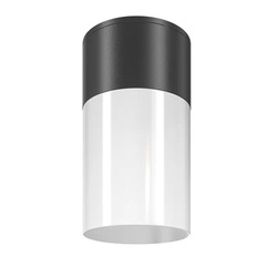 Lampa sufitowa Willis (O418CL-01B) - Maytoni
